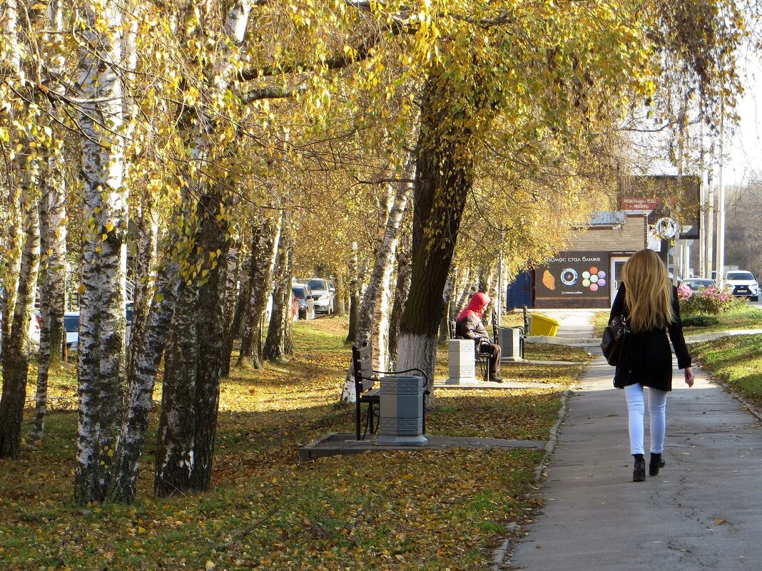 Треплет Осень косы у берёз, взбила облака в крутую пену... - Татьяна Смоляниченко