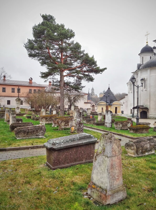 Старицкий Успенский монастырь - Andrey Lomakin