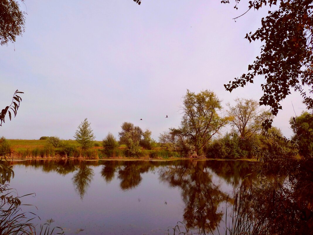 Сентябрь на реке Широкий Карамыш в Саратовской области - Лидия Бараблина