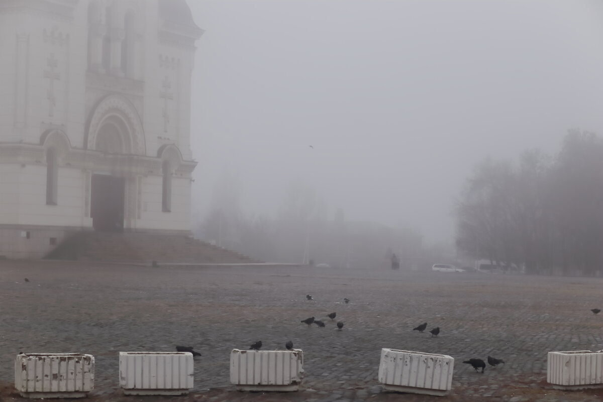 Серый туманный день - Юрий Гайворонский