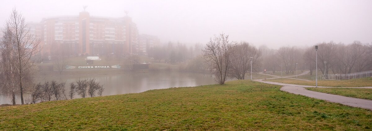 Туман в парке - Валерий Иванович