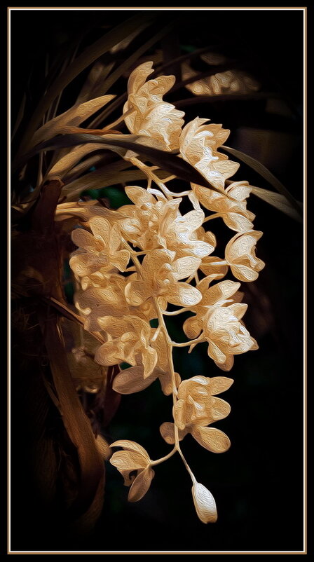Орхидея. Аптекарский огород - Татьяна repbyf49 Кузина