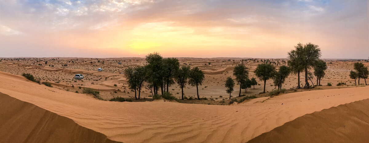 Джип сафари в Аравийской пустыне - Светлана Карнаух