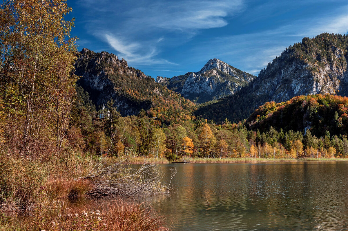 На берегу Schwanensee (Германия, Бавария) - Bo Nik