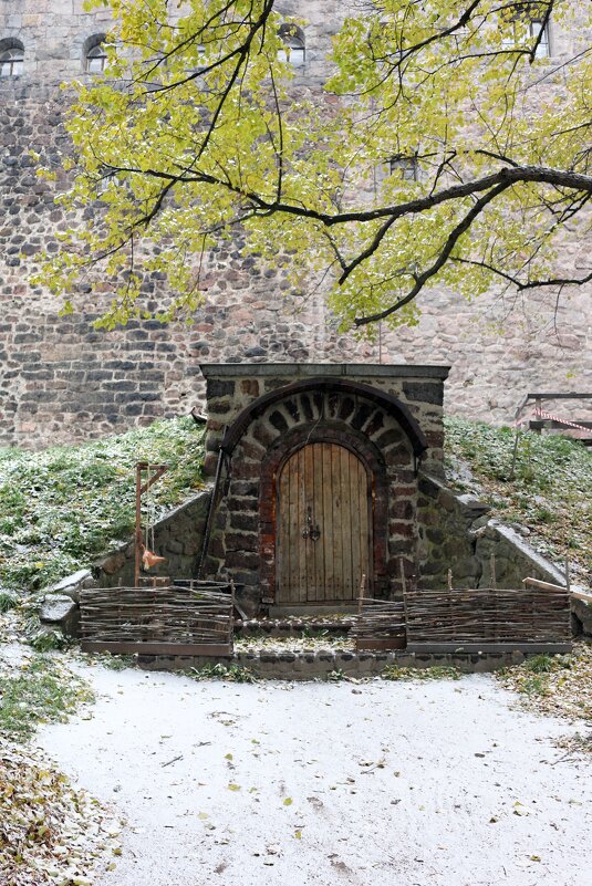 Двери в замковой стене - Ольга 