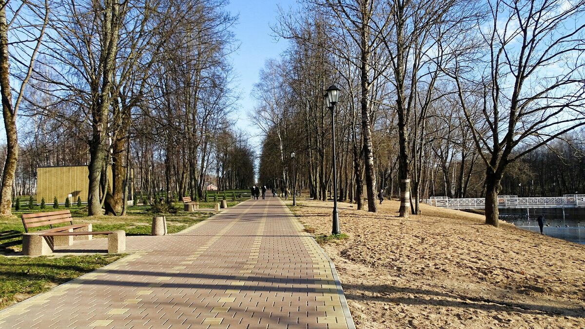 Городской парк - Милешкин Владимир Алексеевич 