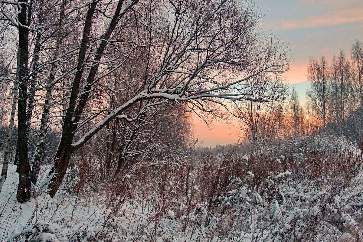Снежный ноябрь 2010 г., в закатный час - Николай Белавин