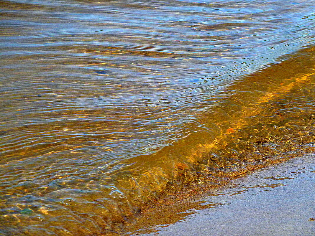 Накатывает нехотя янтарная волна на сентябрьский пляж... - Лидия Бараблина