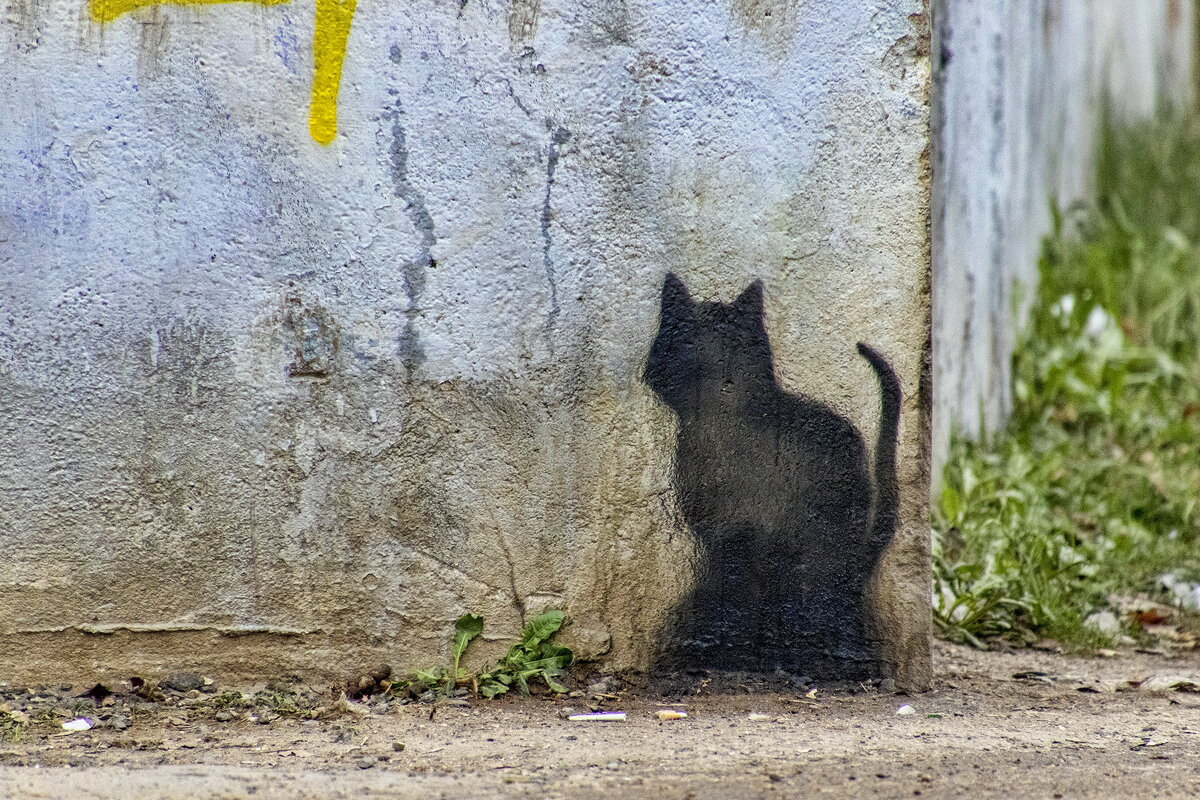 Кот убежал, а тень осталась. - Анатолий. Chesnavik.