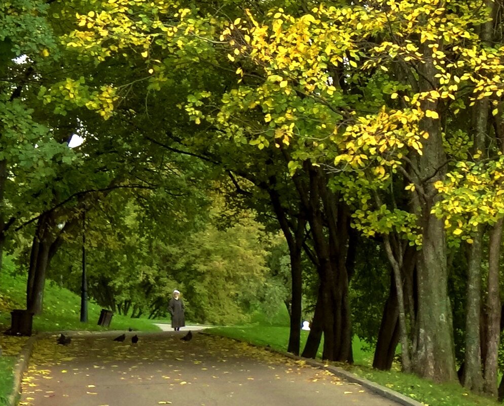 осенний парк - Валентина. .