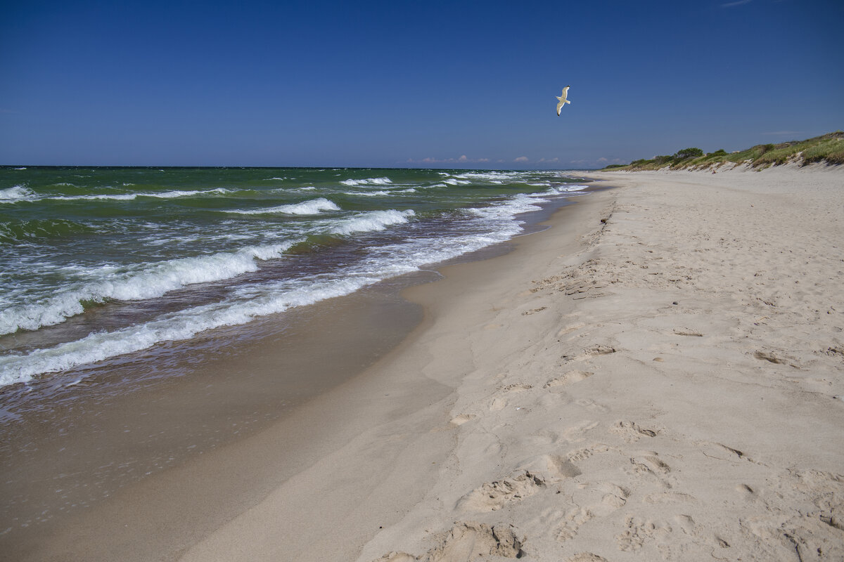 На побережье Балтийского моря - Светлана Карнаух