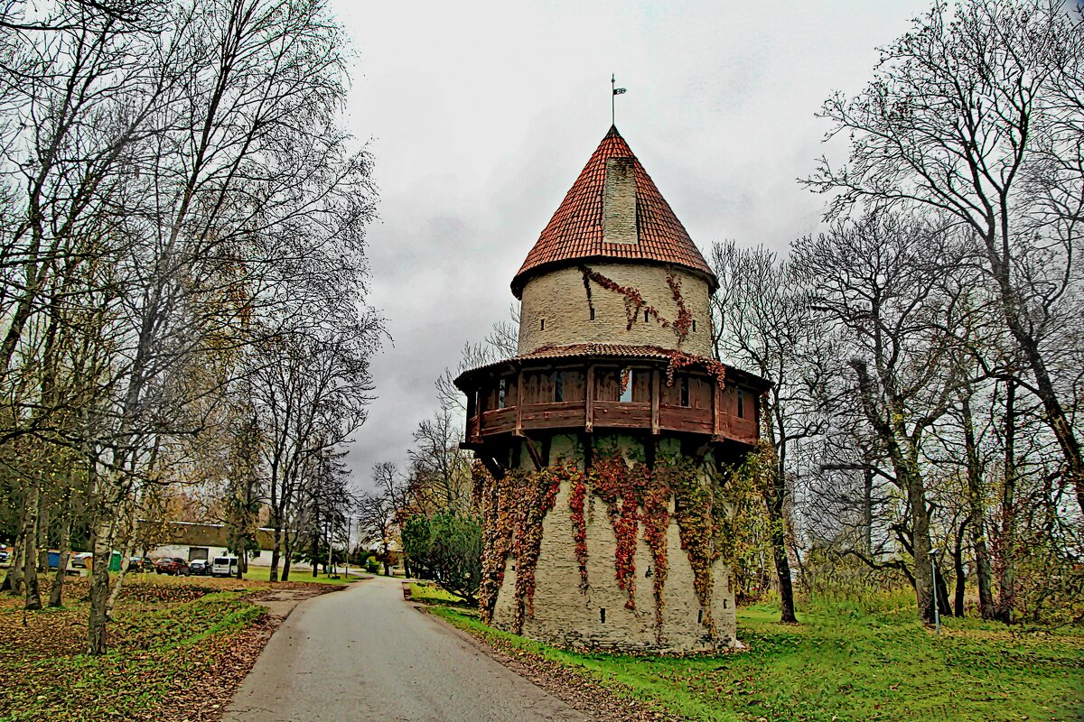 Вассальный замок Кийу. Эстония - Marina Pavlova