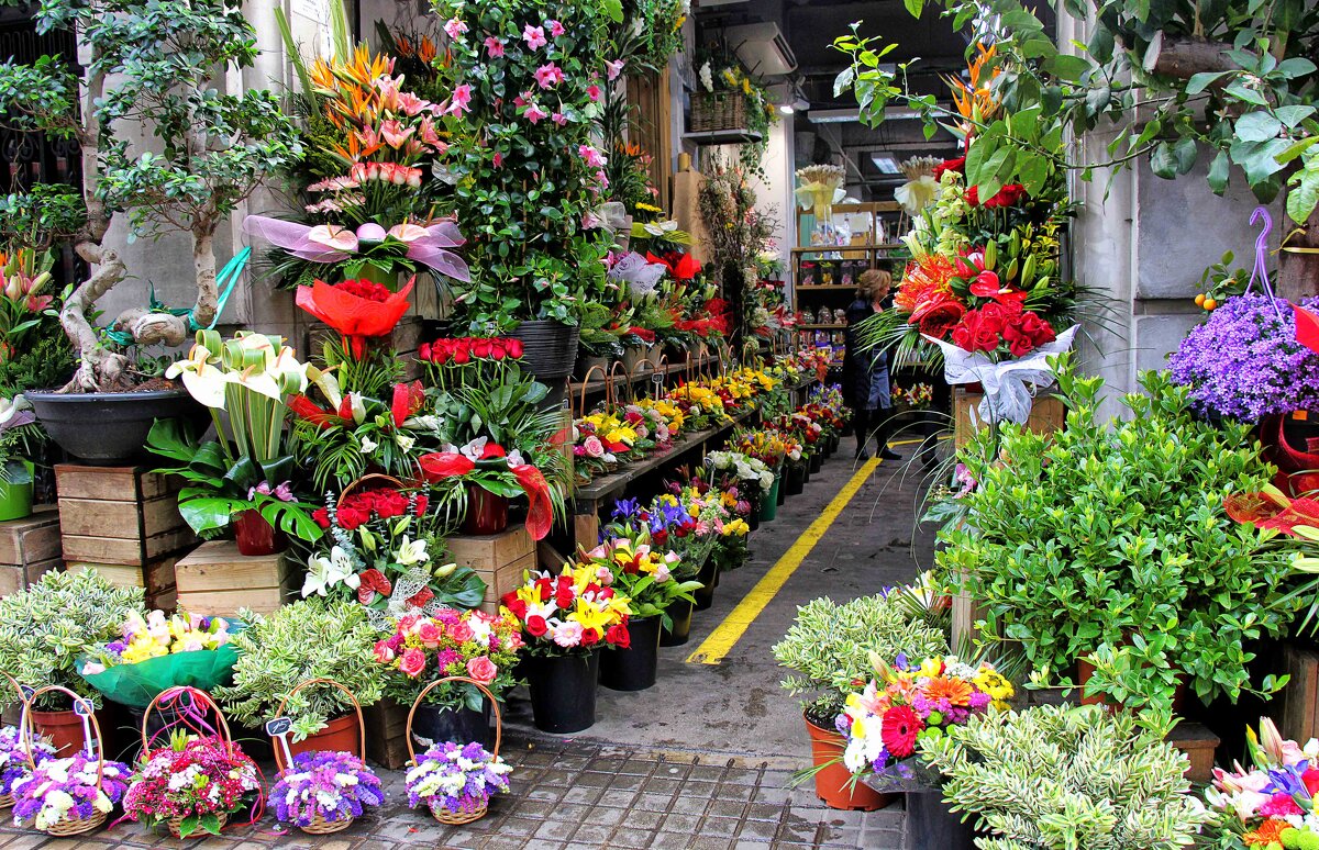 Магазин цветов в районе Эшампле - Nina Karyuk