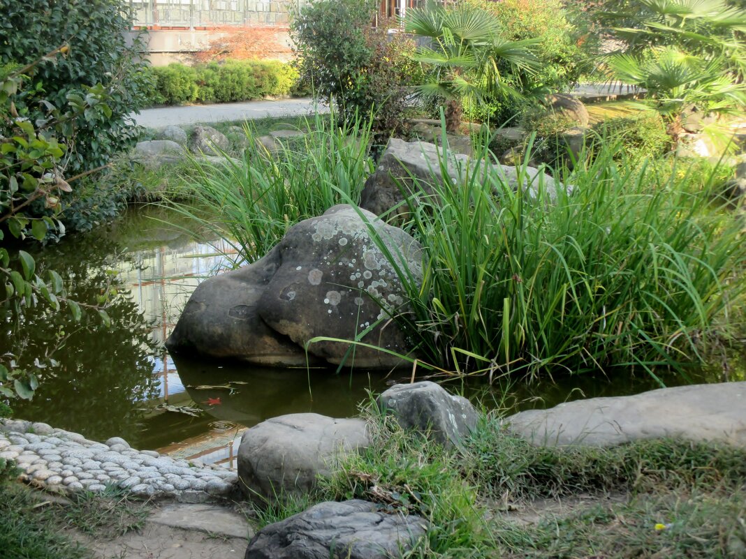Сочи... Японский сад - Нина Бутко