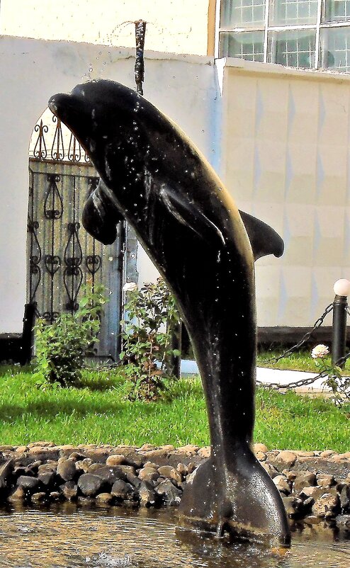 черный дельфин - ольга хакимова