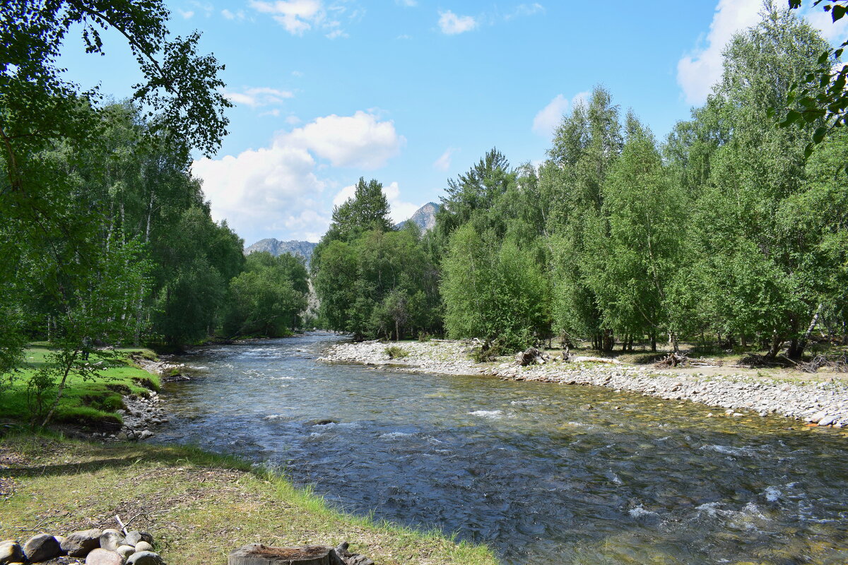 река Б.Яломан - nataly-teplyakov 