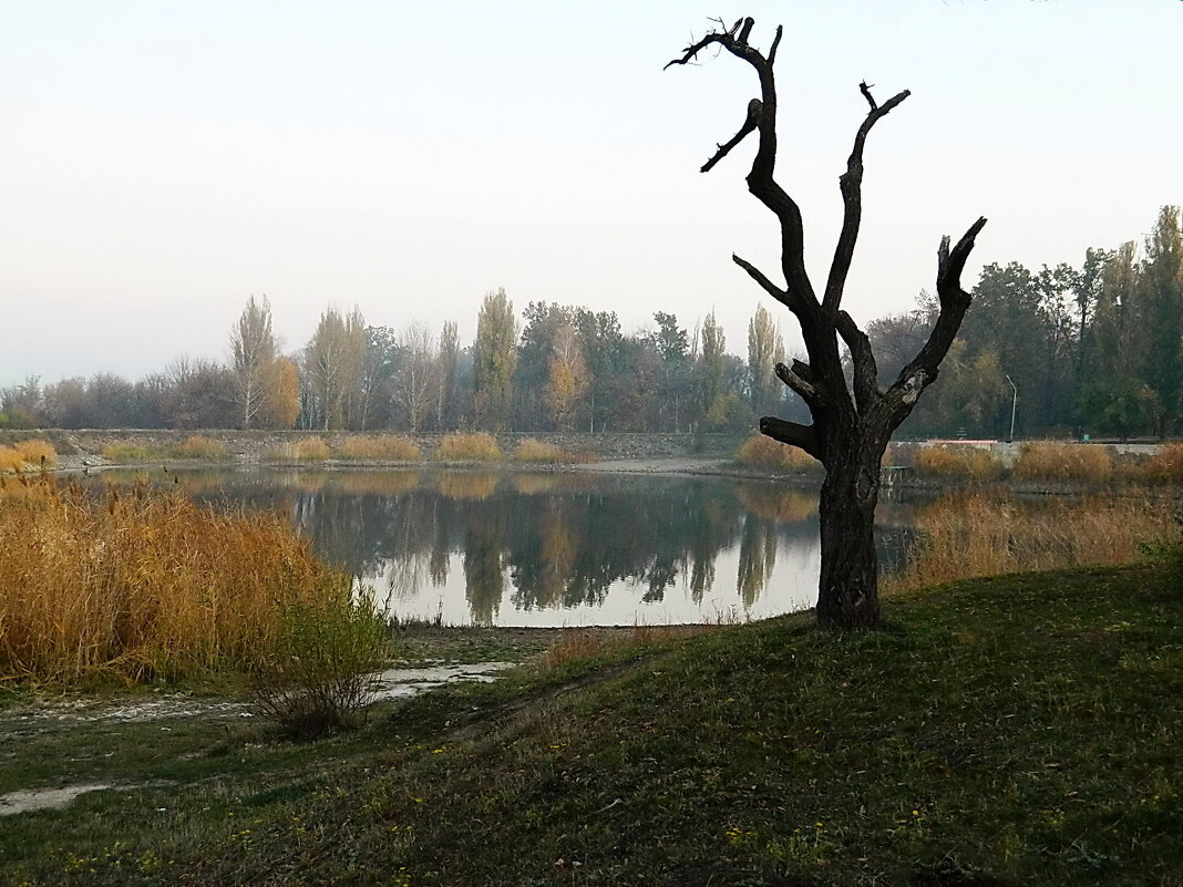 Осень над прудом - Александр Бурилов
