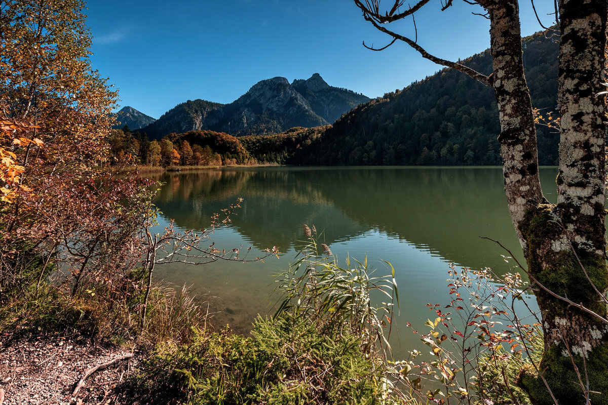 На берегу Schwanensee (Германия, Бавария) - Bo Nik