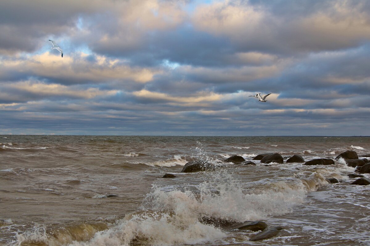 Шум моря и дыхание зимы... - Marina Pavlova