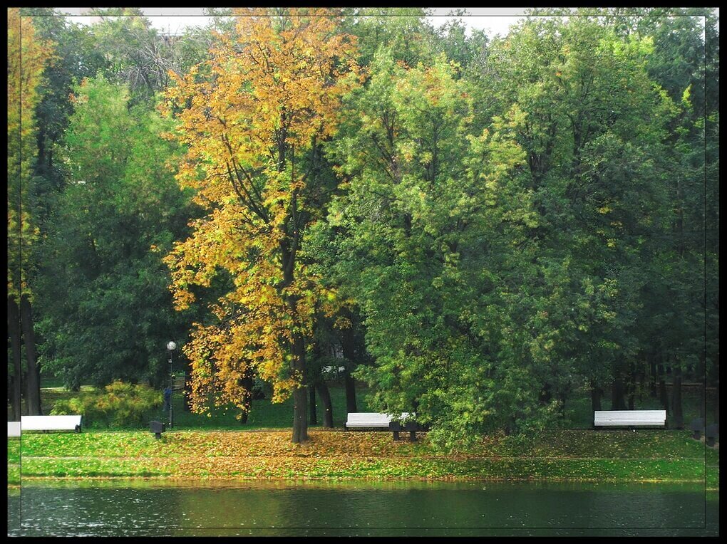 Осень в Екатерининском парке. - Татьяна Беляева