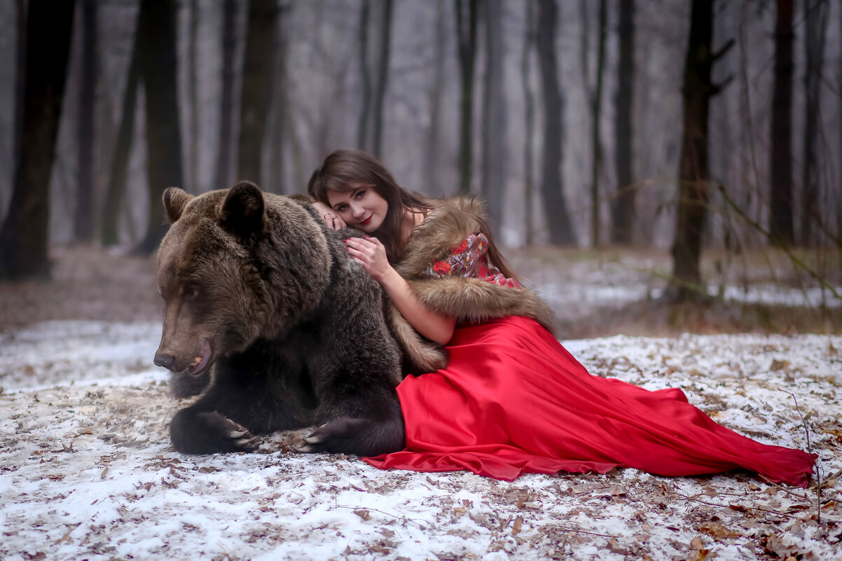 Девушка и медведь - Наталья Сидорова