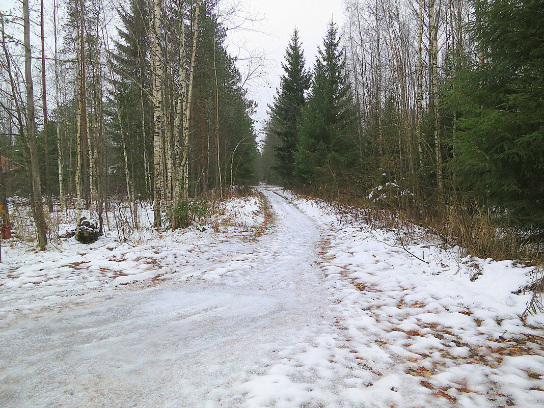 По лесным дорожкам. - Валентина Жукова