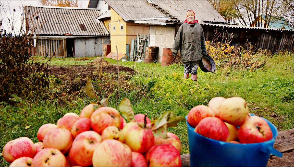 Девочка с яблоками - Кай-8 (Ярослав) Забелин