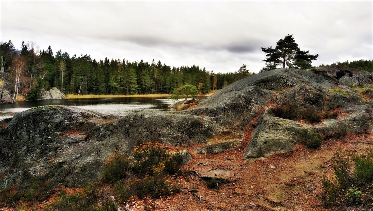 Природа  Швеции - wea *