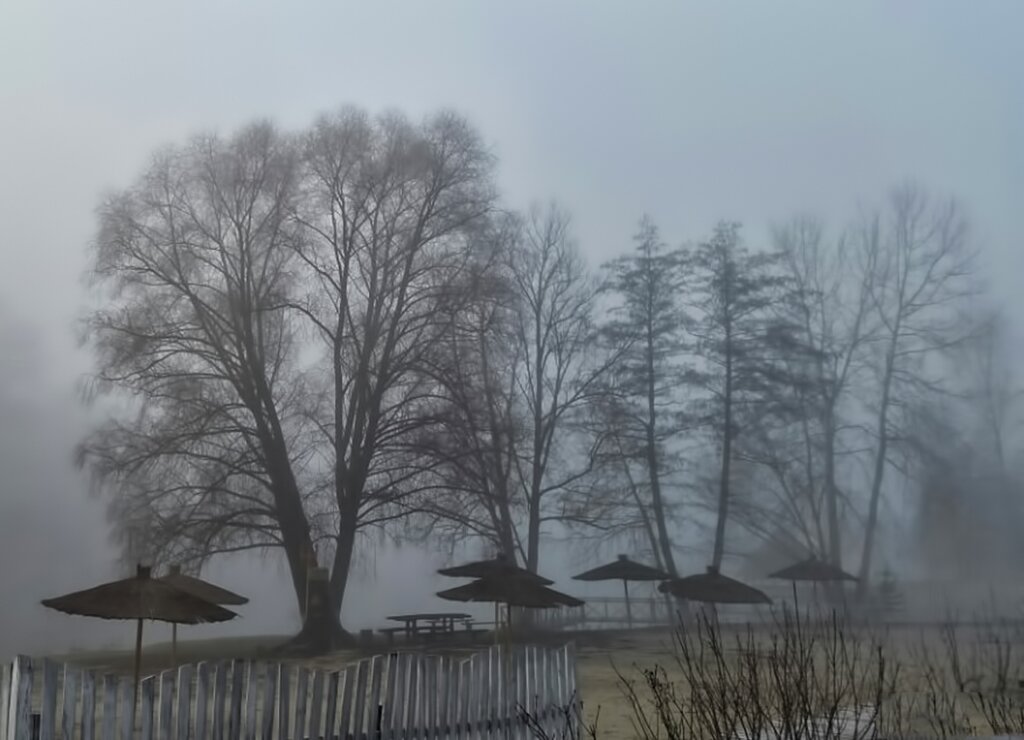 Туман - Роман Савоцкий