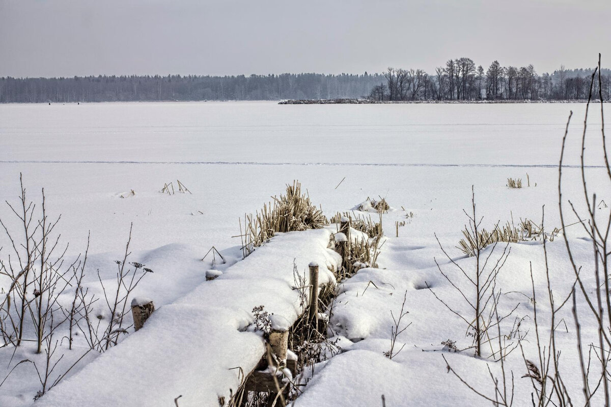 Зима на Волге - Дмитрий Балашов