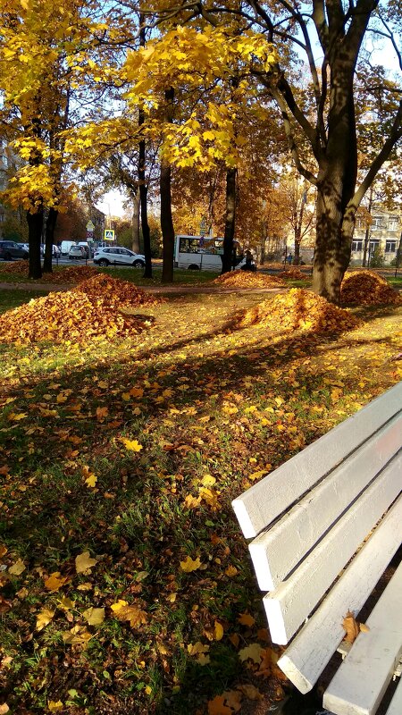 Золотая пора - Светлана Дунаева