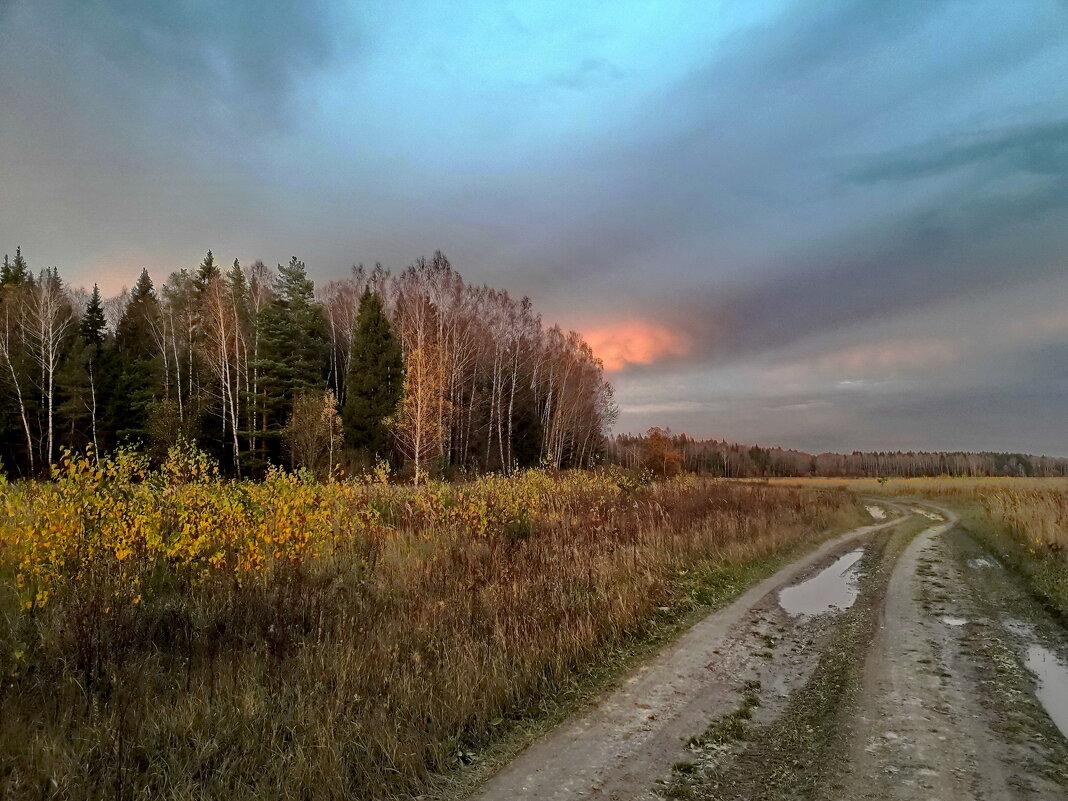 Осеннее небо - Лара Симонова 