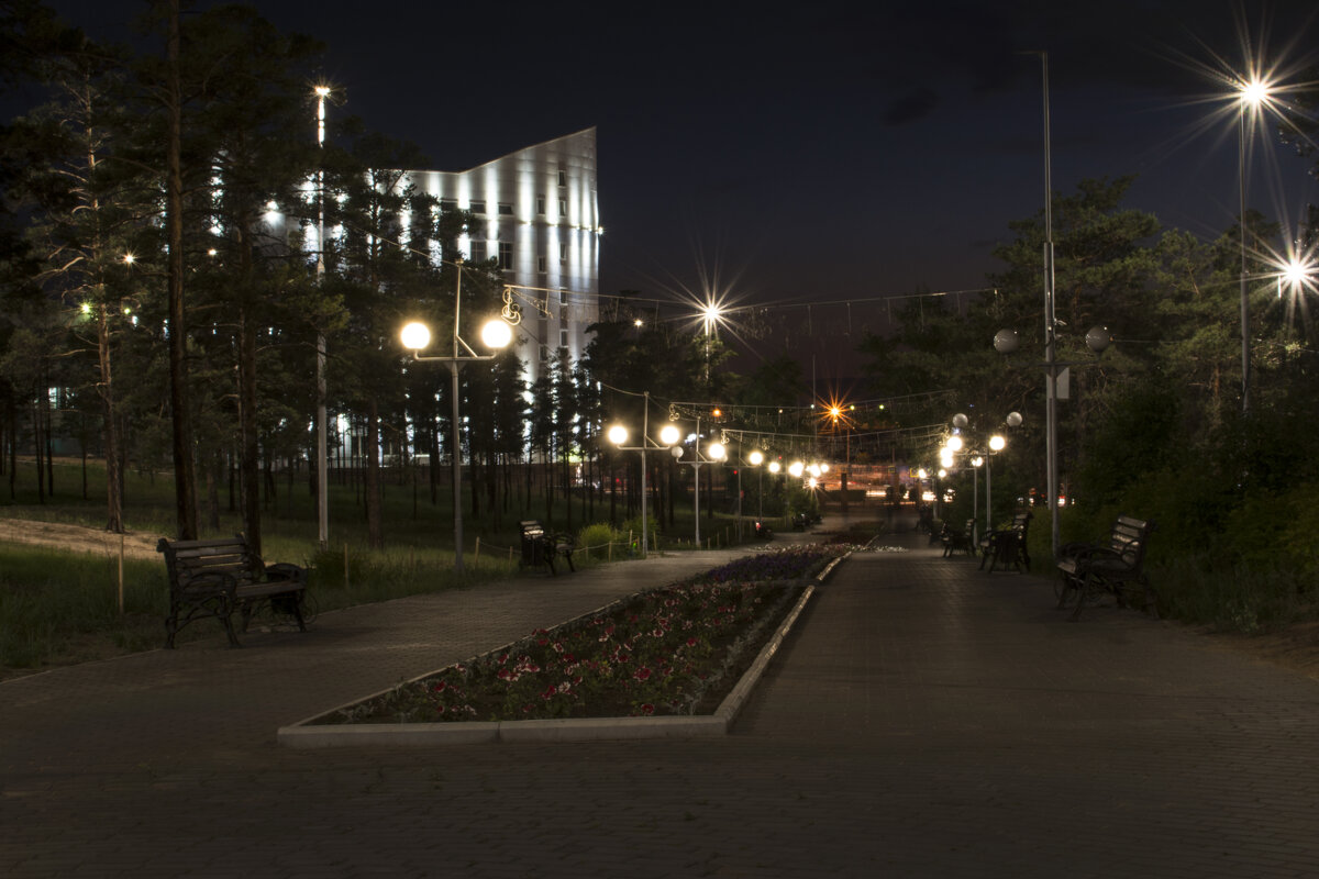 Ночной парк - Евгений Екимов