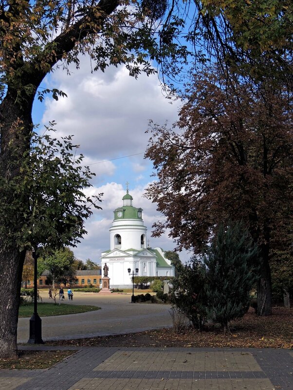 По родному городу - Роман Савоцкий