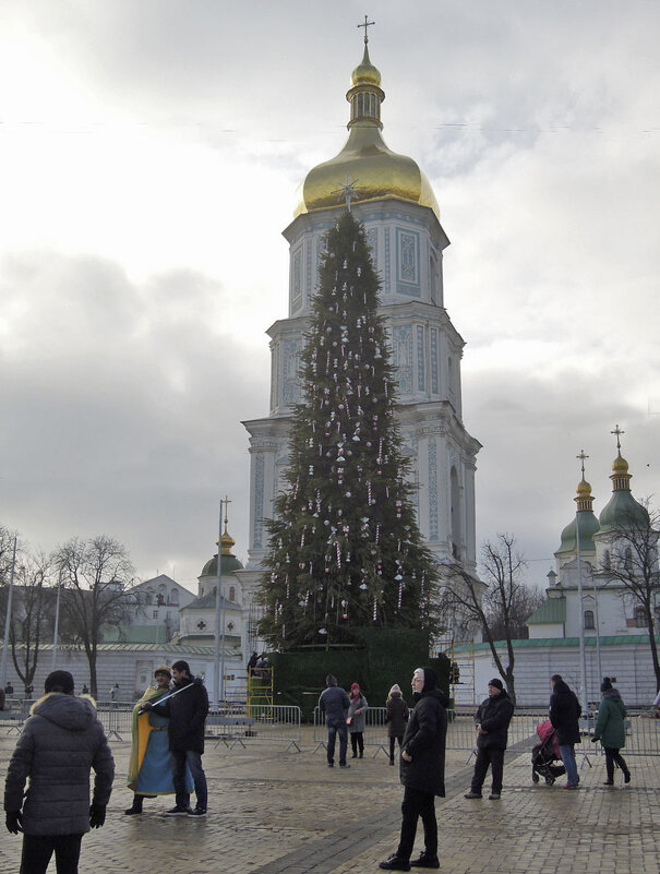 Главная ёлка страны готовится к празднику... - Тамара Бедай 