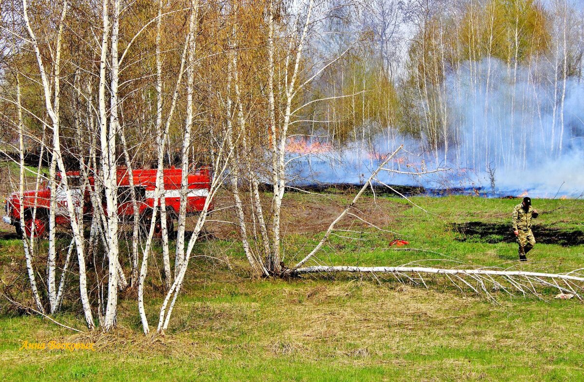 Огнеборцы. - Восковых Анна Васильевна 