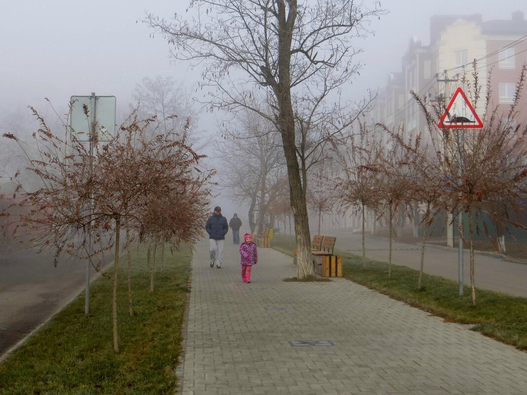 Туман на город бросил серую вуаль - Татьяна Смоляниченко