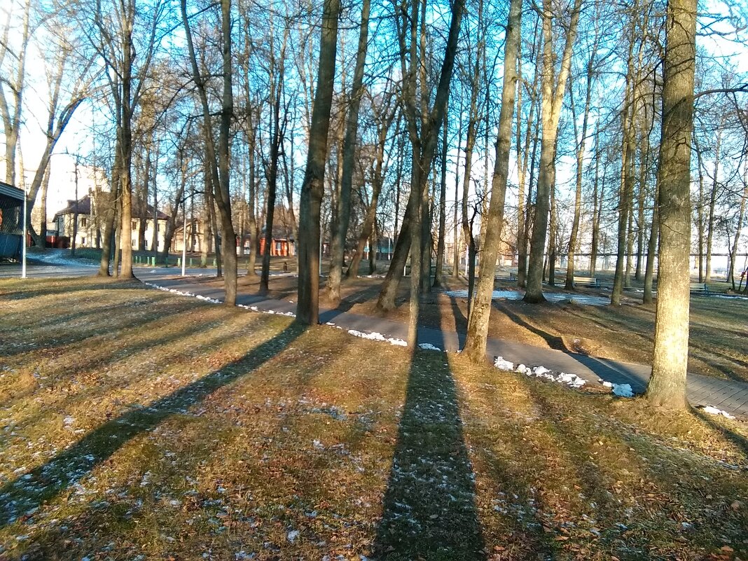 Тени в зимнем парке - Анатолий Кувшинов
