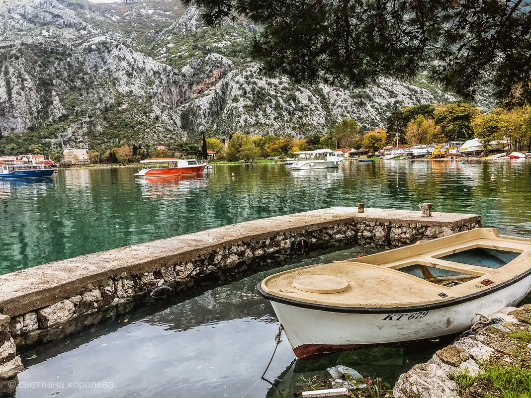 Kotor - Светлана Королева