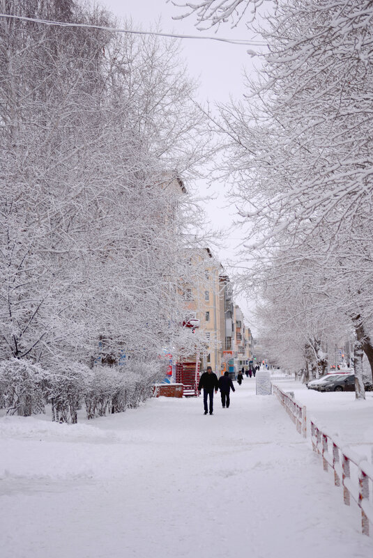 Белый белый белый снег..... - Андрей + Ирина Степановы