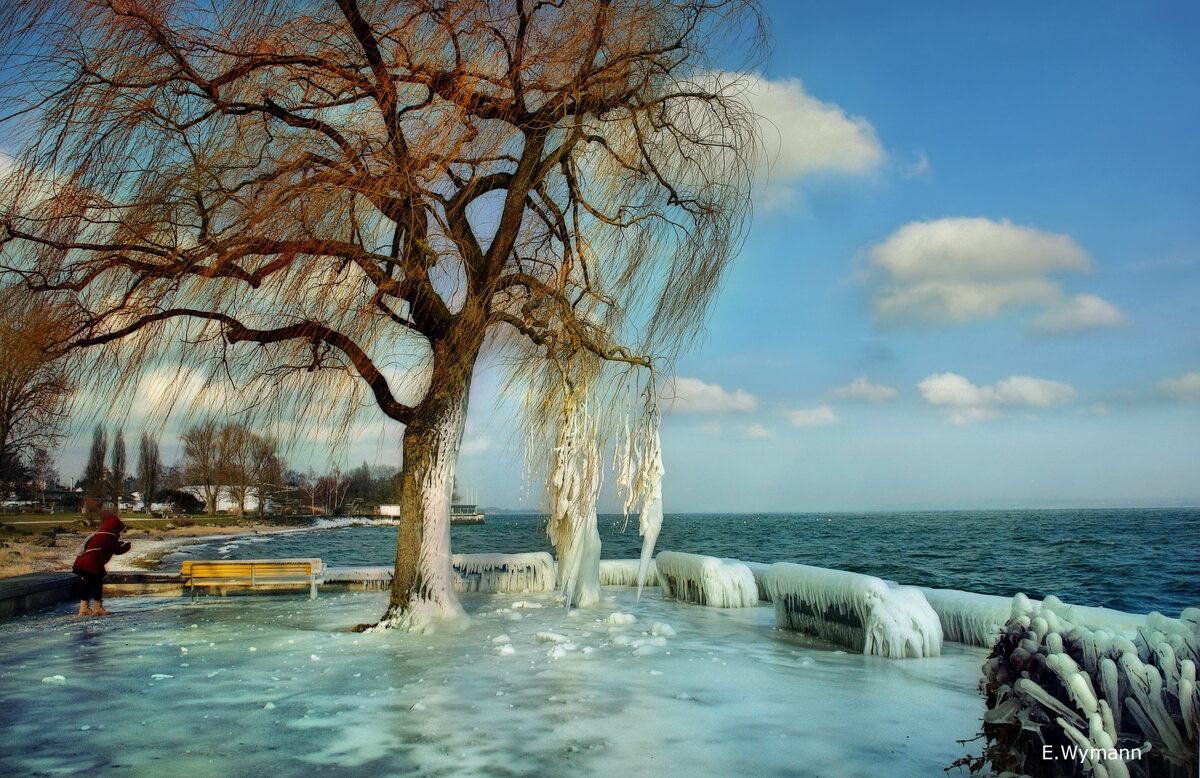 Зима на Боденском озере - Elena Wymann