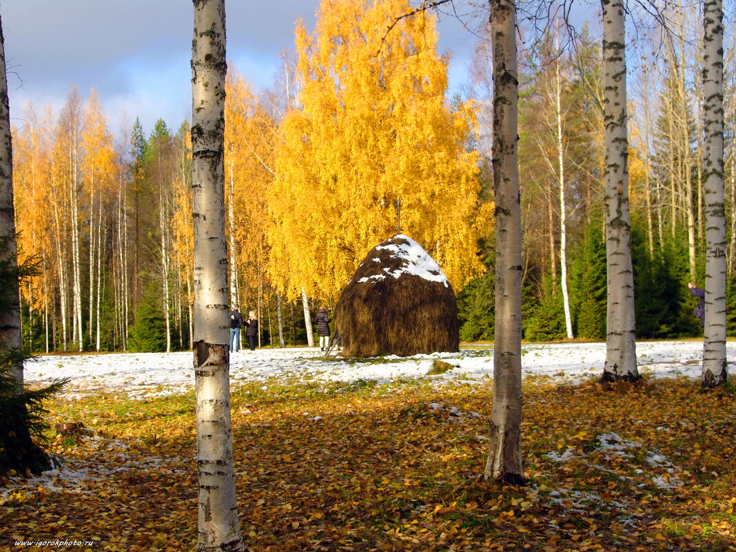 Кусочек Осени - Игорь Корф