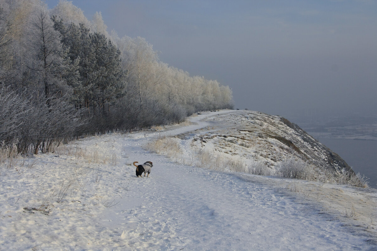 Зима в Сибире - SmygliankA 