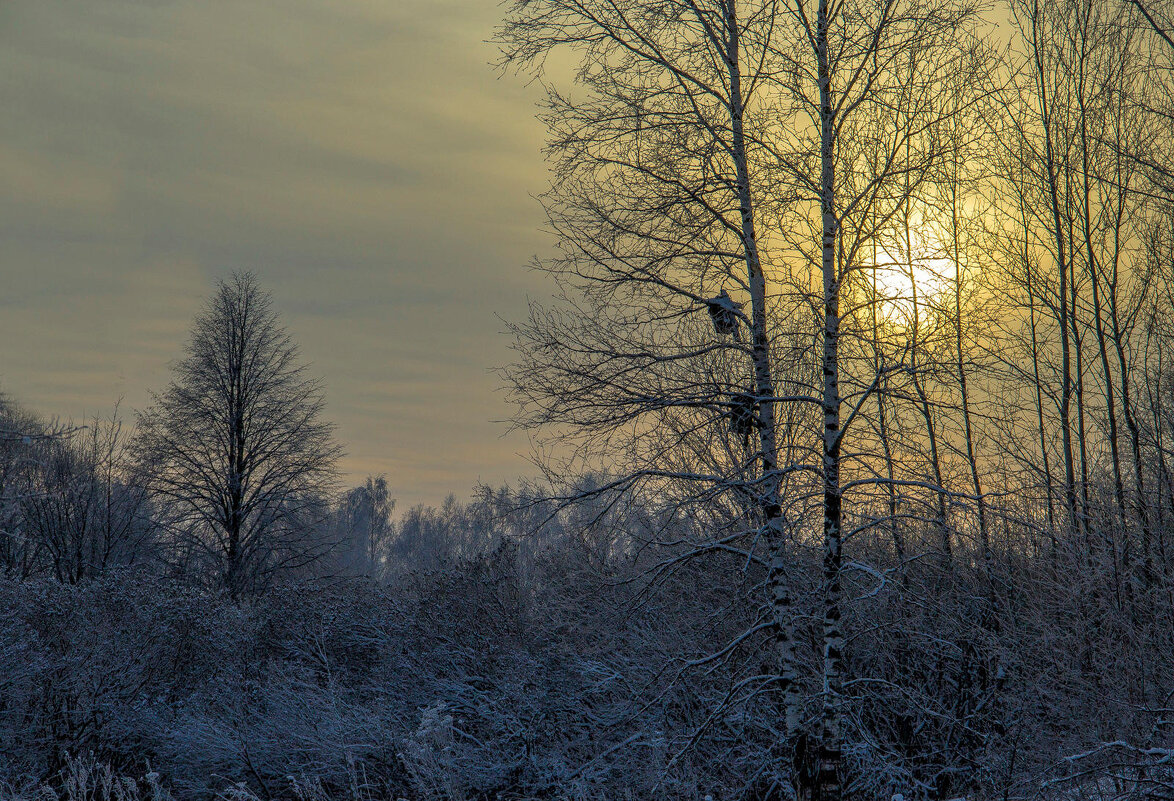 Морозный закат - Дмитрий Балашов