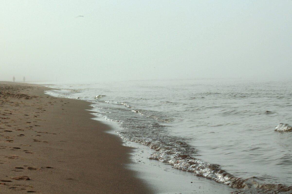 Море в тумане - Inga Catlaka
