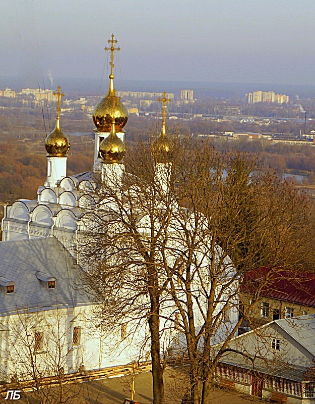 купола Петропавловского монастыря на фоне Брянска. - Людмила 