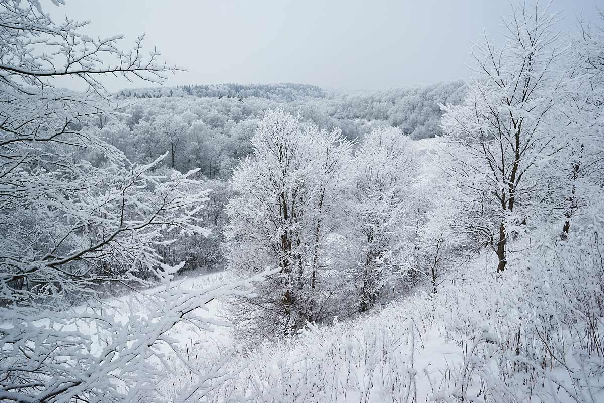 Декабрьский снегопад в долине Исьмы - Сергей Курников