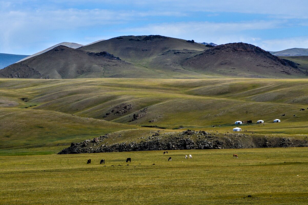 Монгольские пастухи со своими домашними животными - Георгий А
