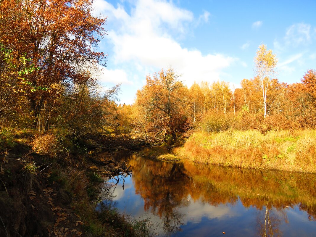 Осень на реке - Андрей Снегерёв