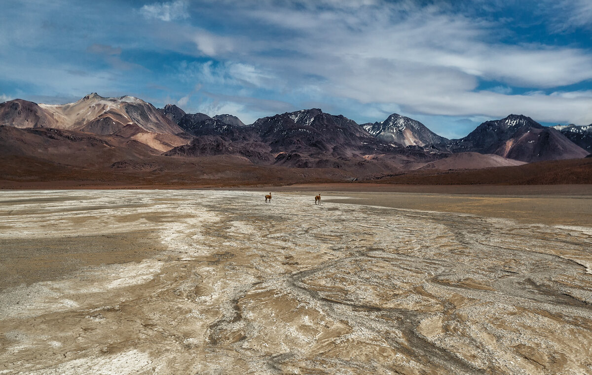 Путешествуя по Боливии...высота 4500м над уровнем моря! - Александр Вивчарик